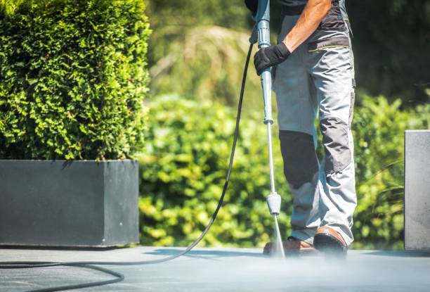 Best Building Exterior Washing  in Pasadena, TX