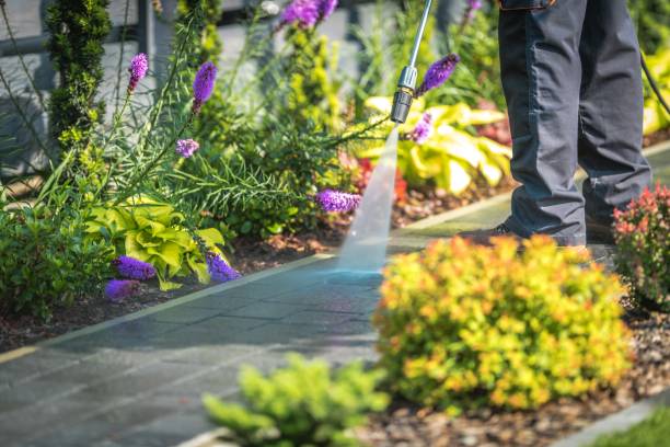 Best Restaurant Pressure Washing  in Pasadena, TX