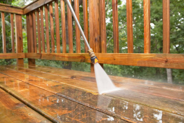 Best Residential Exterior Washing  in Pasadena, TX